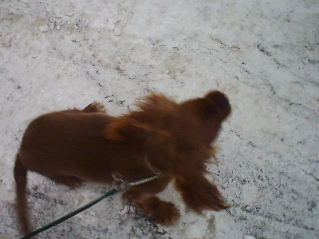 Bild 1.jpg